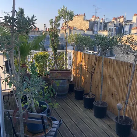 And Its Terrace Διαμέρισμα