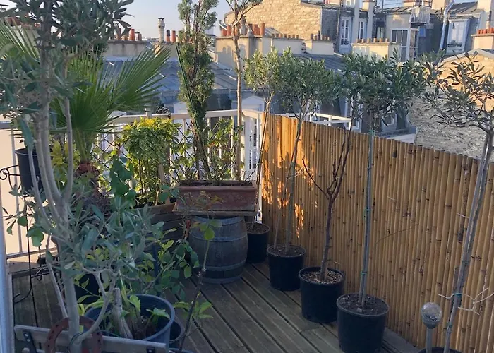 And Its Terrace Apartament